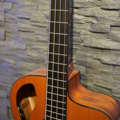 Furch B61CM Acoustic Bass image 3
