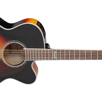 Takamine NPT-012 BS 2000 Brown Sunburst | Reverb
