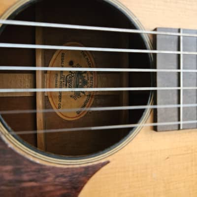 Regal Parlor Guitar Early 20th (video/ sound sample) image 8