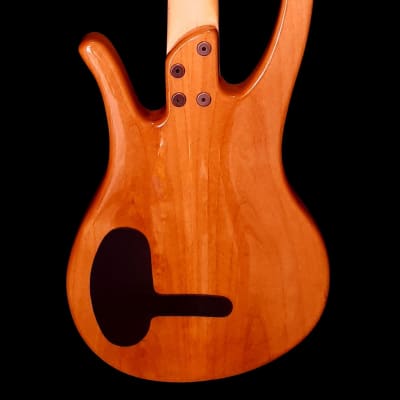 Wittman Custom Bass Long Horn 4 Spalted Maple Top 2022 - High Gloss Polyester image 2