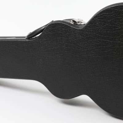 Allen Eden Arch Top Les Paul Black Hard Shell Guitar Case image 3