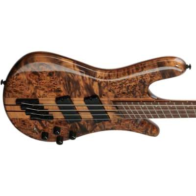 Spector NS Dimension Multi-Scale 4-String Bass Guitar - Super Faded Black image 6
