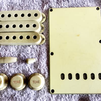 Real Life Relics Mint Green Accessory Kit For Fender® Stratocaster® Back Plate, Knobs, Pickup Covers, Switch Tip    [DS1]