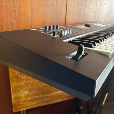Roland JUNO-DS 61 61-key Synthesizer w/ gig bag image 6