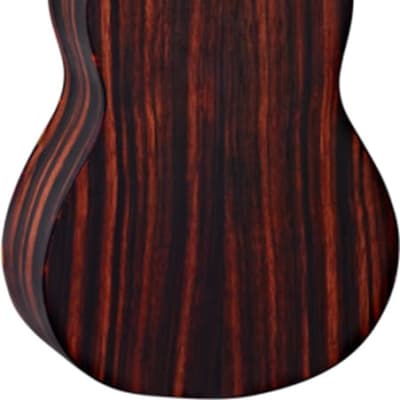 Ortega Guitars RUEB-SO Ebony Series Soprano Ukulele Ebony top, back & sides Open Pore Finish with Free Deluxe Gig Bag image 2