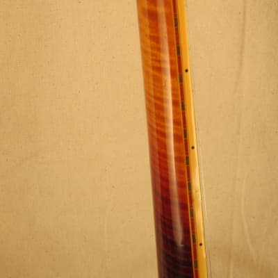 Epiphone Rialto  modified 5 string Banjo 1920's flamed maple image 11