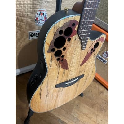 Ovation CELEBRITY ELITE CE44P-SM-G PLUS SPALTED MAPLE OVATION | Reverb