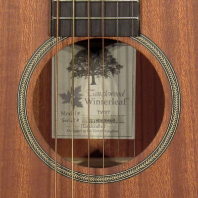 Tanglewood  TW-2T Acoustic Guitar - Mahogany w\Gig Bag image 8