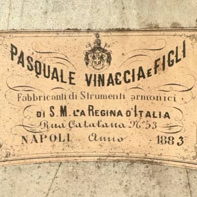 Pasquale Vinaccia Mandolin from 1883 image 19