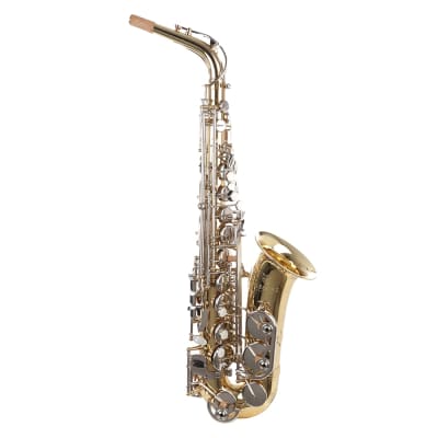 Blessing BAS-1287 Alto Saxophone Outfit - Gold Lacquer image 1