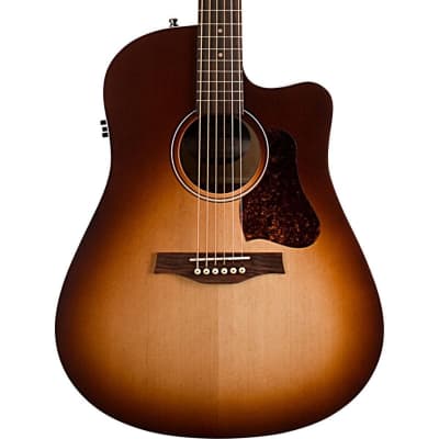 Seagull Entourage Autumn Burst CW Acoustic Guitar (LXV) for sale