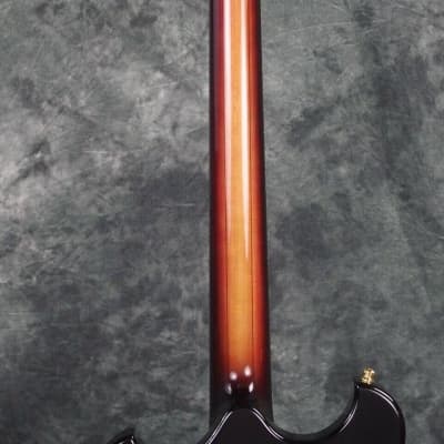 Alembic Skylark 6 String 25.5 inch Long Scale Electric Guitar with Case image 8