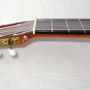 Original 1979 Ramirez 1a 10-String Classical Harp Guitar, Cedar/Indian image 7