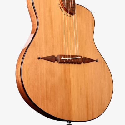 Rick Turner Renaissance RS6 Cedar / Walnut #5906 image 1