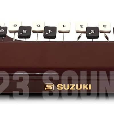 Suzuki Ran Bass Electric Taishogoto image 6