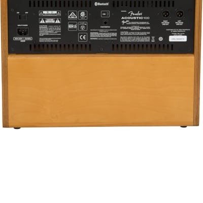 Fender Acoustic 100 image 2