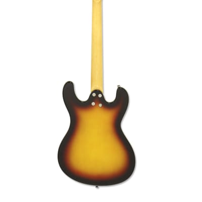 Aria DM-206-3TS DM Series Basswood Body Maple Neck Rosewood Fingerboard 6-String Electric Guitar image 2