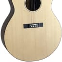 Gold Tone Model TG-18 Natural 4-String Solid Top Tenor Acoustic Guitar w/Gig Bag