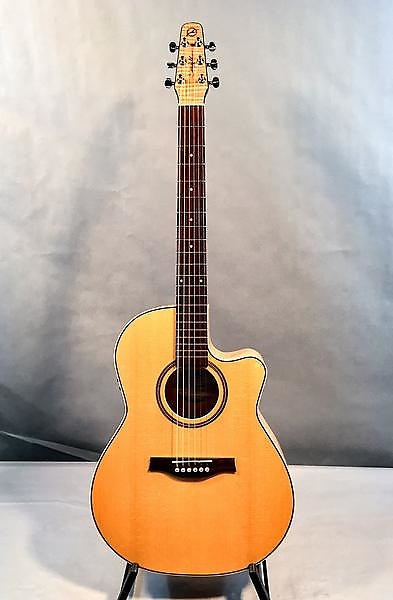 Seagull performer cw folk deals flame maple hg qit