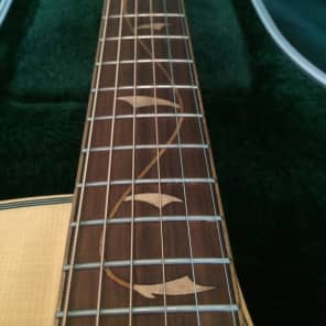Ibanez Vine acoustic-electric solid wood beauty image 1