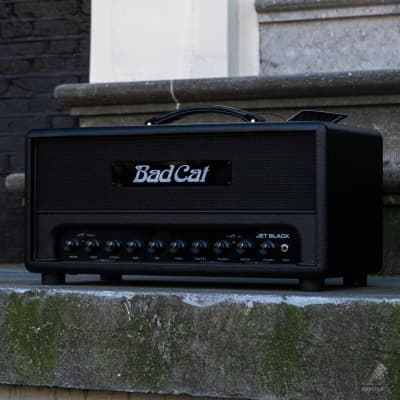 Bad Cat Jet Black 38 Watt Amplifier Head for sale