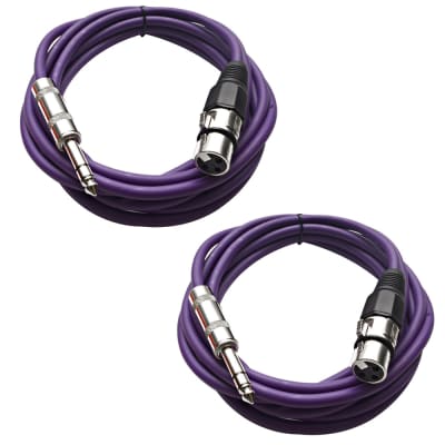 2 Pack of 1/4 Inch to XLR Female Patch Cables 10 Foot Extension Cords Jumper - Purple and Purple image 1