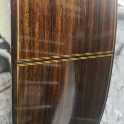 2017 Douglass Scott Concert Classical Guitar Spruce/Indian Rosewood 640mm Scale image 9
