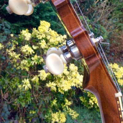 Fender Concert Tone Tenor Banjo image 15