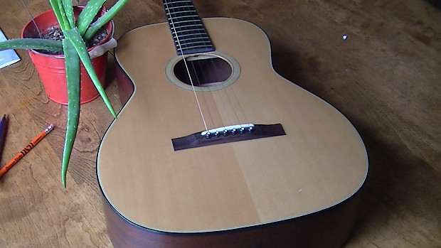 Takamine f store 312