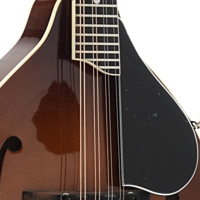 Kentucky KM-256 Mandolin, A-Model Transparent Brown image 4