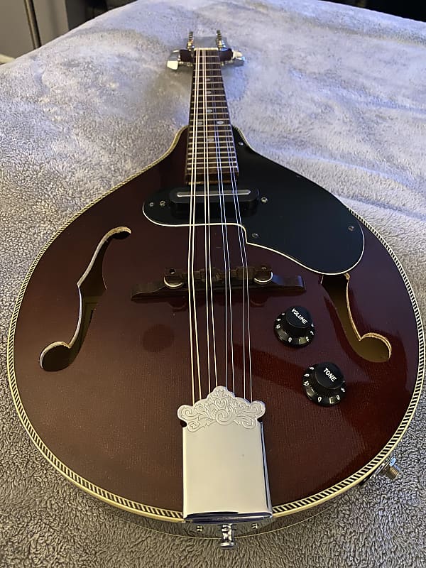 Goya C.F. Martin Vintage Instrument 8 String Mandolin 1992 with
