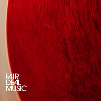 2022 PRS SE Standard 24 Electric Guitar in Vintage Cherry, EX-DISPLAY image 6