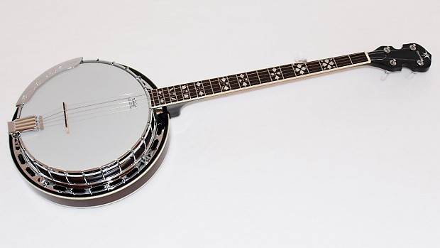 Danville 6 string on sale banjo