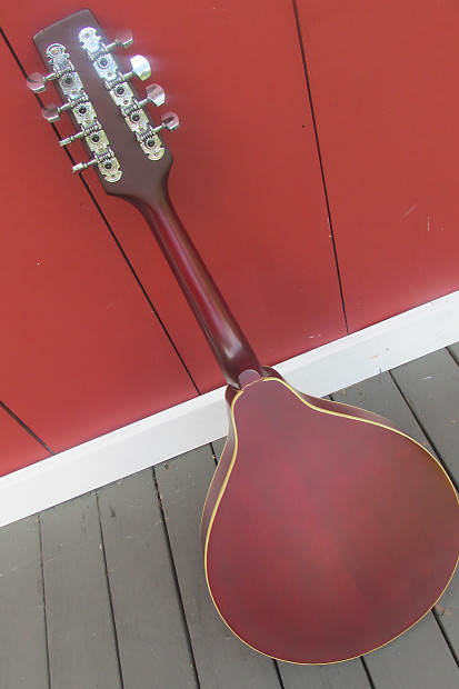 Morgan Monroe Bean Blossom Sunburst Acoustic-Electric