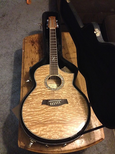 Ibanez exotic wood 12 string sale