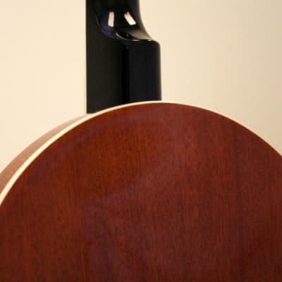 Ibanez Banjo B50 5-String with Closed Back image 7