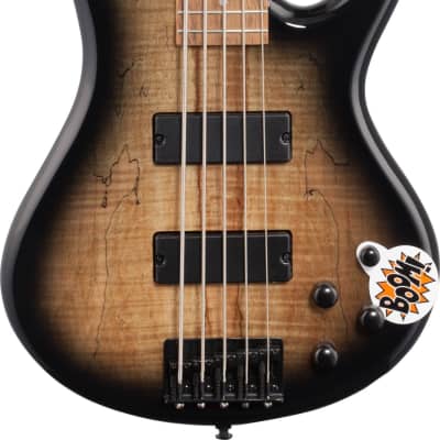 Ibanez GSR205 5-String Electric Bass Gray Burst