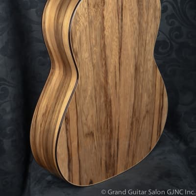 Raimundo Tatyana Ryzhkova Signature model, Spruce top classical guitar image 10