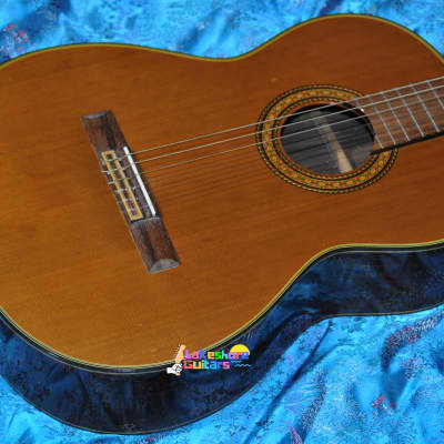 Takamine C132S Classical Series Nylon String Acoustic Guitar Natural Gloss for sale