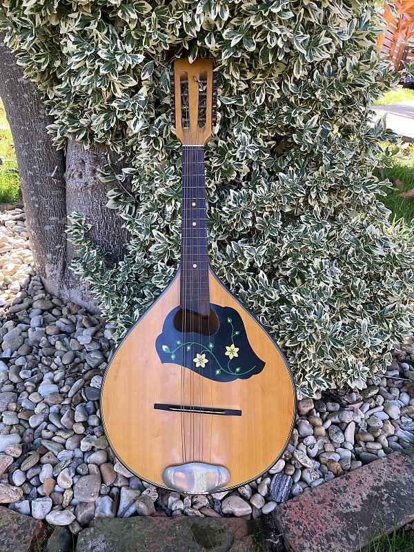 Vintage Mandolin Reverb