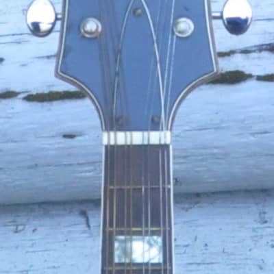 Harmony H-35 "Batwing" electric mandolin 1970 - Sunburst image 3