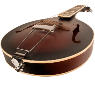 Gold Tone  A-6 Gitarren-Mandoline A-Stil Korpus, mit Tasche image 2