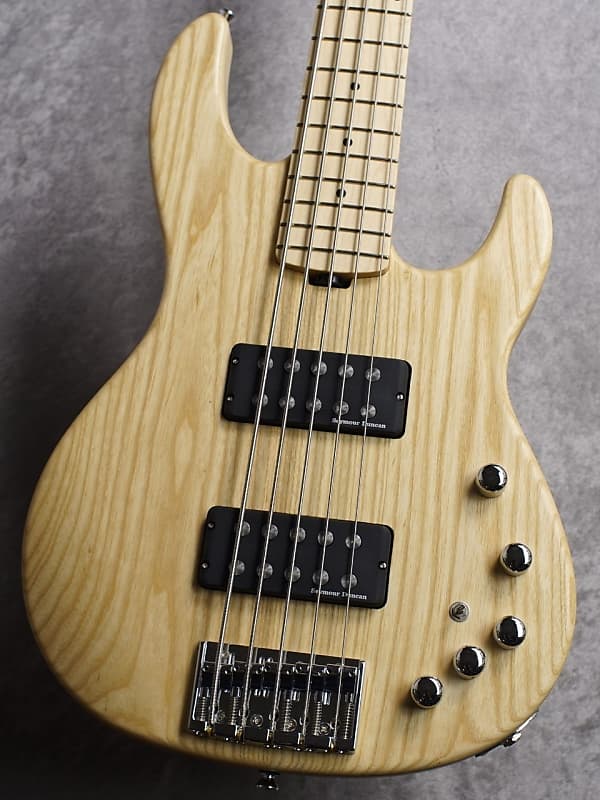 ESP AP-SL5/M[Made In Japan] 2021 Stain Natural