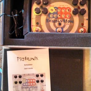 Pigtronix Echolution Echo Delay Effects Pedal w/ upgrade + Ships FREE! image 3