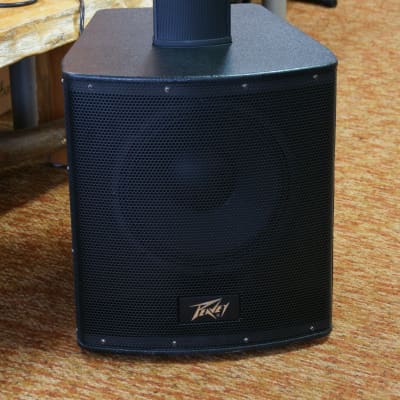 Peavey P2 Powered Line Array Portable PA System