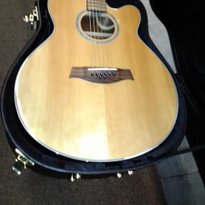 Ibanez AEL108MDNT 8-String Acoustic/Electric Cutaway Guitar Natural