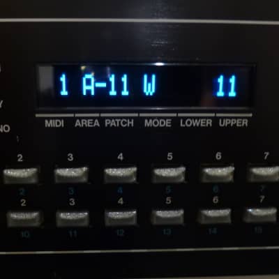 OLED Display Upgrade - Roland MKS-80 Custom OLED Display.