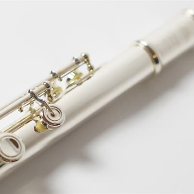 Freeshipping!Altus Flute TS-RE  Original order model/ Made in  Japan image 12