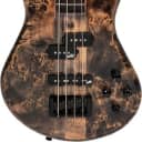 Spector NS Ethos 4 String Bass in Super Faded Black with Gig Bag