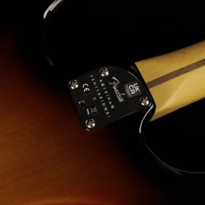 Fender American Professional II Stratocaster HSS - MN 3CS (#384) image 9